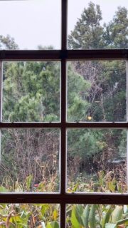 한라산에서 스키를 탄다고? 🎿❄️
스키장은 없지만, 이 작은 캔버스 위에서는 뭐든 가능해요.
두툼한 텍스처 속을 가르는 미니어처 스키어들,
그들만의 설원이 여기 있습니다.
상상이 현실이 되는 공간,
당신의 이야기도 여기서 시작될 수 있어요 🏔️✨
#텍스처아트 #상상현실 #제주아트
———————————————
“Skiing on Hallasan Mountain? 🎿❄️
There’s no ski resort, but anything is possible on this tiny canvas.
Miniature skiers carving through thick textures,
creating their own snowy paradise.
A space where imagination becomes reality,
Your story can begin here too 🏔️✨
#ArtStudio #WinterVibes